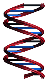 dna